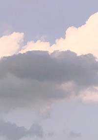 お姉様に誠愛を