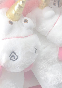 お知らせ用