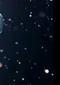 恋♥