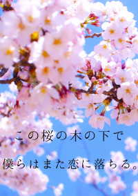 この桜の木の下で僕らはまた恋に落ちる。