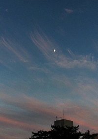 あなたの事が。