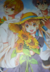 幼馴染を好きになってしまった、私の思いは