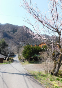 のんびり進展