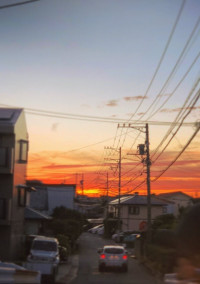 すき