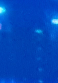 カナヲの妹は、ツイステの世界へ