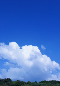 私が生きる理由(いみ)