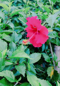 夏空だけじゃない。
