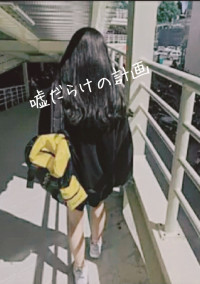嘘だらけの計画