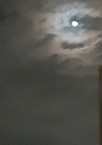 MOON.