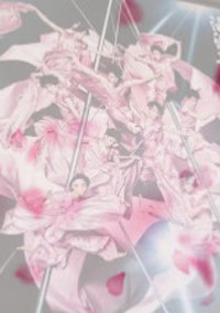 桜吹雪の雨