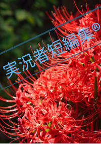 実況者短編集Ⓡ