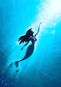 🐚MERMAID🌊