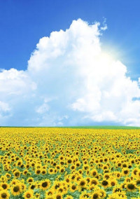 わたしのなつやすみ