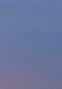 変なやつ。
