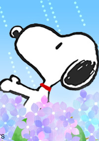 🌸リアルうぷ主の日常🌸