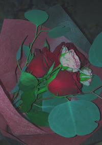 私のために 《きんぷり》