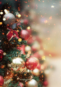 サンタが大勢やってくる🎄