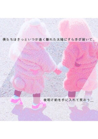 見たことのない世界、、、