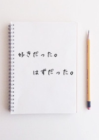 好きだった。はずだった。