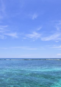 ワンピース 〜海の姫〜