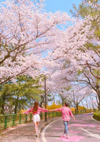 日韓カップル