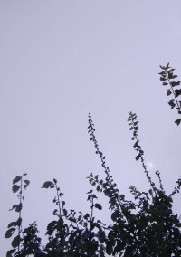 東リべ短編集(完全私得)