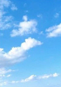 君の声
