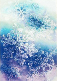 氷に魅入られた青年