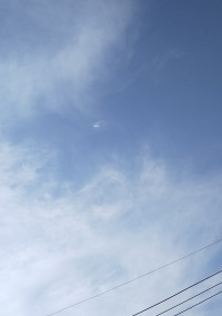 捨てられた子