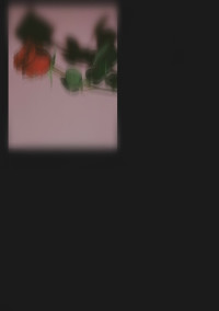 戻 り た い _