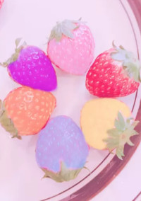 家族でいていいですか。