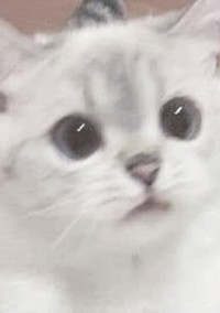 🥽 🥽