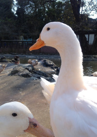 雑談③