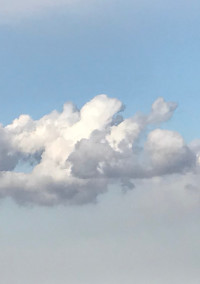 先生と生徒