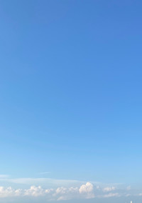 僕達の恋は一体…
