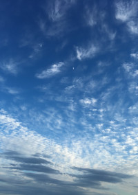 なんでここにいるんだろ