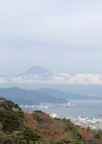 へらへの妹は良いことが無いです…