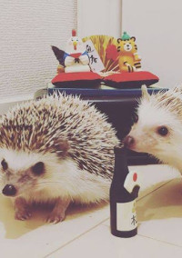 マイロ&アルビーの大冒険