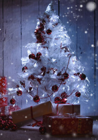 Happy merry christmas