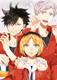ハイキュー 音駒高校!!