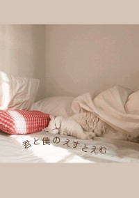 『 君と僕の えすとえむ 』