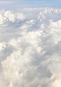 今日、好きになりました .