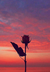 glass Flower