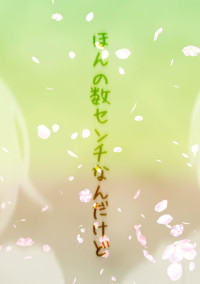 ほんの数センチなんだけど