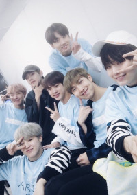 BTS bl