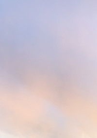愛 し て ほ し か っ た .