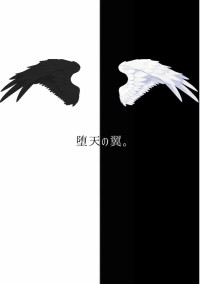 堕 天 の 翼 。