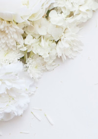 薔薇の紅一点