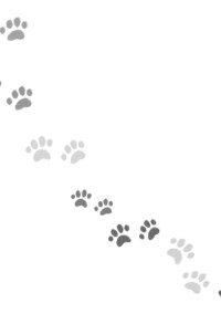 ゲーマーな飼い主さんとその犬