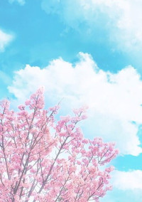桜の咲く季節に 。